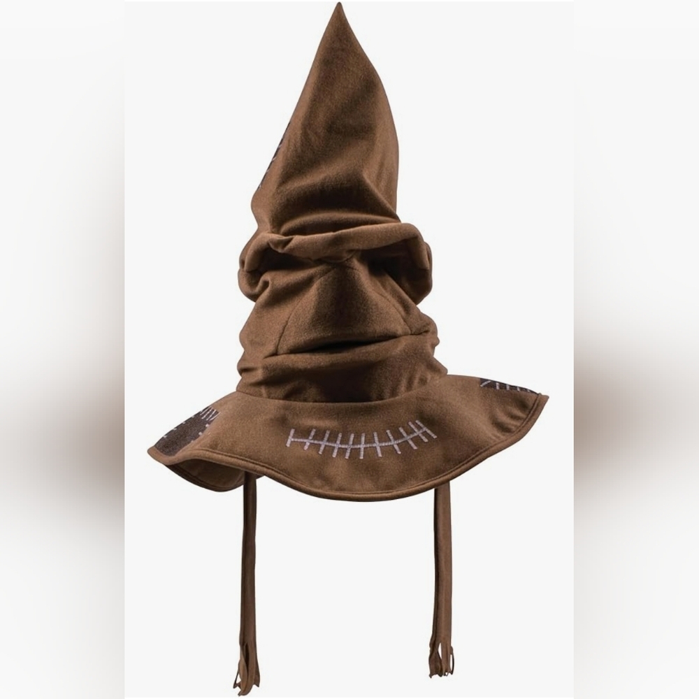 Harry Potter sorting hat